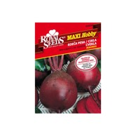 ROYAL SEEDS Sjeme povrća 38 cikla bikores