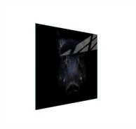 TMK Staklena zaštita za štednjak ili ploču za kuhanje 50x52, vepar