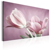 Slika Romantic Tulips 120x80