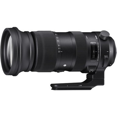 SIGMA AF Superzoom objektiv 60–600mm f/4.5–6.3 DG OS HSM Sport, za Sigma