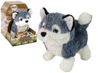 Interaktivni pas Husky, maskota