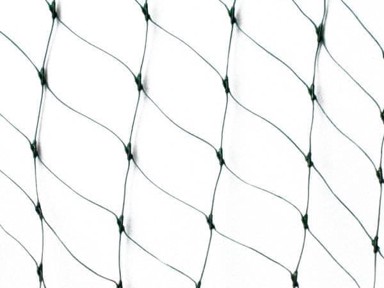 Mreža protiv ptica 8x20 m