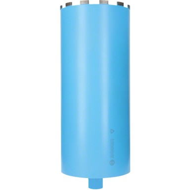 BOSCH Dijamantno svrdlo, Ø 202mm
