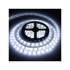 LED Traka 3528, 120SMD/m, IP54, 5 m, hladno bijela