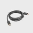 LANBERG DisplayPort kabel CA-DPDP-10CC-0030-BK, crni, 3m