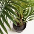 KAVE HOME Umjetna biljka Fern, visina 150 cm  