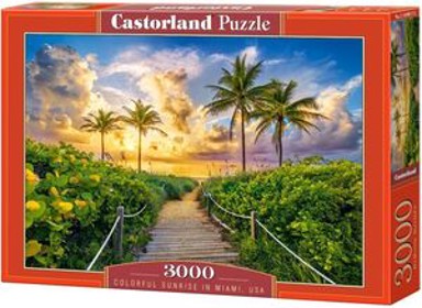 CASTORLAND Puzzle Miami USA, 3000 kom