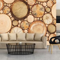 Foto tapeta Wood grains 250x175