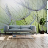 Foto tapeta Fleeting moments 350x245