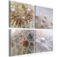 Slika Morning Glow 80x80