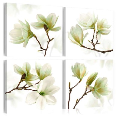 Slika Admiration of Magnolia 40x40