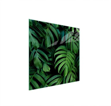 TMK Staklena zaštita za štednjak ili ploču za kuhanje 50x52, monstera