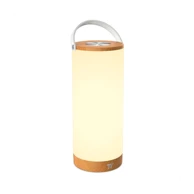 Prijenosna LED svjetiljka TaoTronics TT-DL23