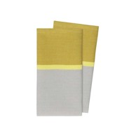 REMEMBER Tekstilne salvete u setu od 2 kom Lime