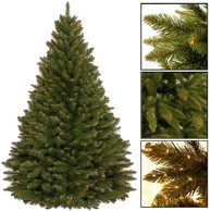 Božićno drvce kavkaska smreka, 120 cm