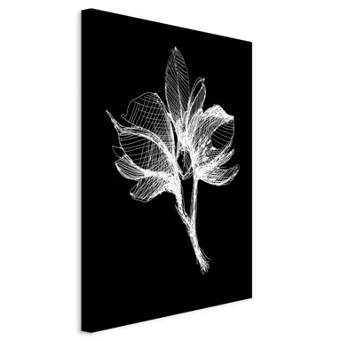 Slika Night Flower, jednodijelna, okomita, 60x90 cm