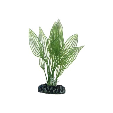 HOBBY Umjetno bilje Aponogeton, 16 cm