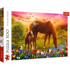 TREFL Slagalica, Puzzle 500, Životinje, 500 kom
