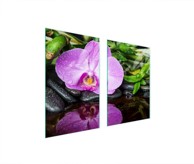 TMK Staklena zaštita za štednjak ili ploču za kuhanje 65x52, orhideja