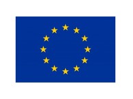 Zastava EU 200x100 cm, plava