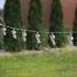 DECOKING Rasvjetni lanac s LED lampicama u obliku štipaljki Pin, 20 lampica, duljina 3,35 m