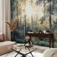 Tapeta Tales of a Forest, 350x256 cm, premium
