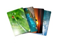 ESPERANZA Podloga za miš EA133 višebojna