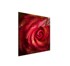 Staklena zaštitna ploča za štednjak Rose 50 x 52 cm