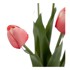 IXIA Umjetna biljka Tulips, visina 31 cm  