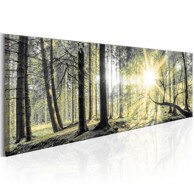 Slika Morning Forest 120x40