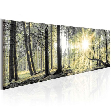 Slika Morning Forest 120x40