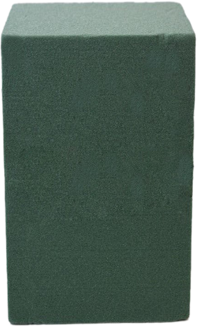 Spužva Professional 1/2