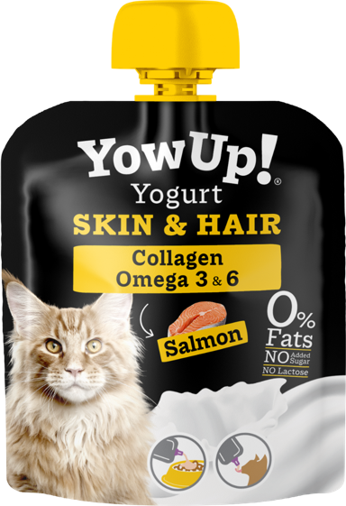 YOWUP! Jogurt za mačke Skin&Hair, 85 g