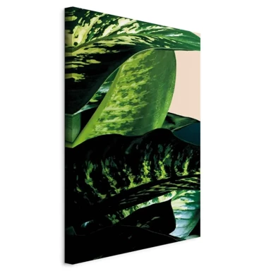 Slika Dieffenbachia, jednodijelna, okomita, 60x90 cm