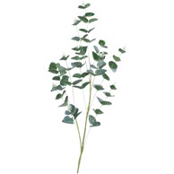 Rezano cvijeće Grana eukaliptus 98 cm