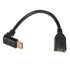 INLINE DisplayPort adapter kabel, 8K4K, dolje savijen, 0,15 m 17159U
