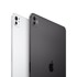 APPLE iPad Pro 13 (2024) Wi-Fi 256GB crni