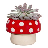 SASS & BELLE Zemljana posuda za cvijeće ø 12 cm
