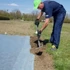 AGRIMPEX Agrotekstil za proljetno pokrivanje Agro-nowa 1,6x5 m