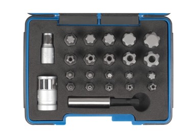 SW-STAHL Set bitova t-profil, prihvat 1/4″, 23-dijelni 04191l