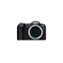 CANON Mirrorless fotoaparat EOS R8, RF 24-50mm F4.5-6.3 IS STM Kit, crni