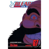 Bleach vol. 67