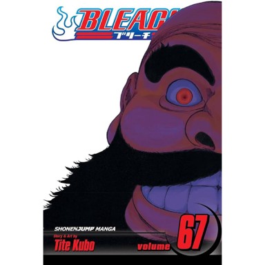 Bleach vol. 67