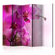 Sobna pregrada u 5 dijelova Pink orchid II 225x172