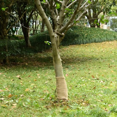 Rola jute 0,25x100 m, 100 % juta, 200 g/m²