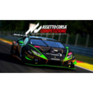 Igra za PC: Assetto Corsa Competizione