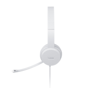 LENOVO Slušalice GXD1E71385, USB Type-A, sive