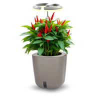 SMART GARDEN Aurelia Pro - samozalijevajuća tegla s LED lampom