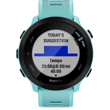 GARMIN Pametni sat Forerunner 55, plavi