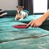 VILEDA Pet Pro elektrostatička četka za dlake kućnih ljubimaca
